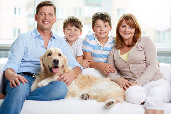 Family Dentist FAQ: How Dangerous Is A Cavity?